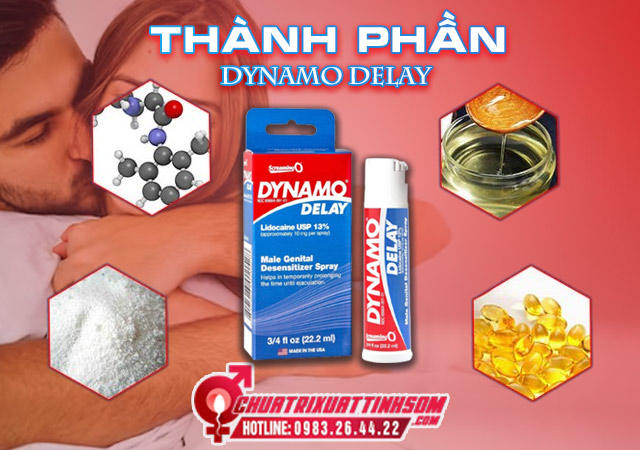 Thành phần Dynamo Delay