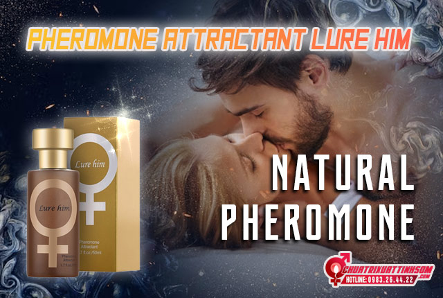 pheromone-attractant-lure-him-2