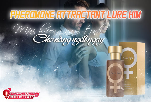 pheromone-attractant-lure-him-3