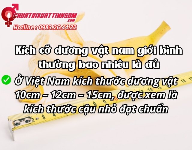 Kích cỡ dương vật nam giới bình thường bao nhiêu là đủ