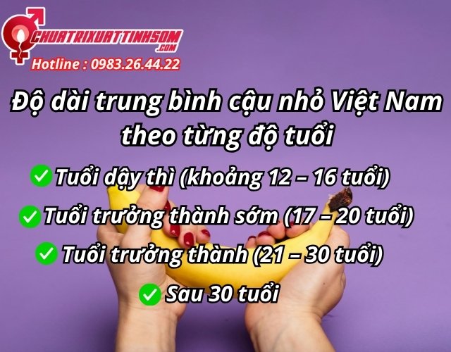 Độ dài trung bình cậu nhỏ Việt Nam theo từng độ tuổi