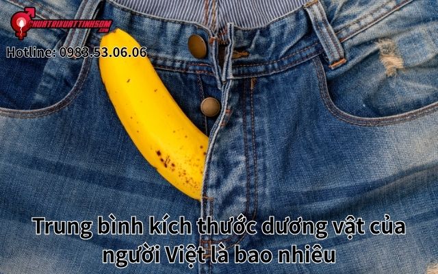 Trung bình kích thước dương vật của người Việt là bao nhiêu